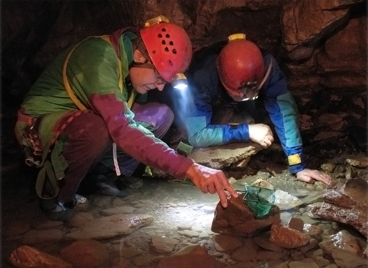 📢 NEW Editor-in-Chief: Dr Fabio Stoch, <a href="/ULBruxelles/">Université libre de Bruxelles</a>
Following his appointment, our journal is to further focus on #conservation, monitoring &amp; #EcosystemServices of subterranean environments, and embrace integrated approach &amp; novel research methods.
🔗See: subtbiol.pensoft.net/news/283