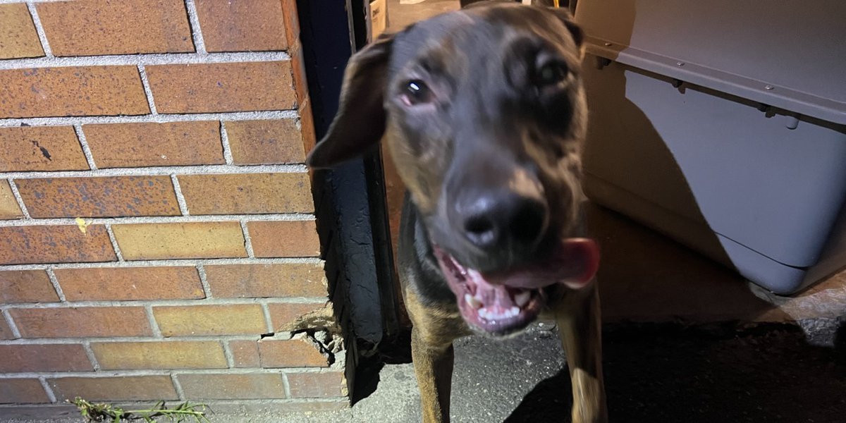 NYPD 77th Precinct on Twitter "Can you assist in reuniting a family