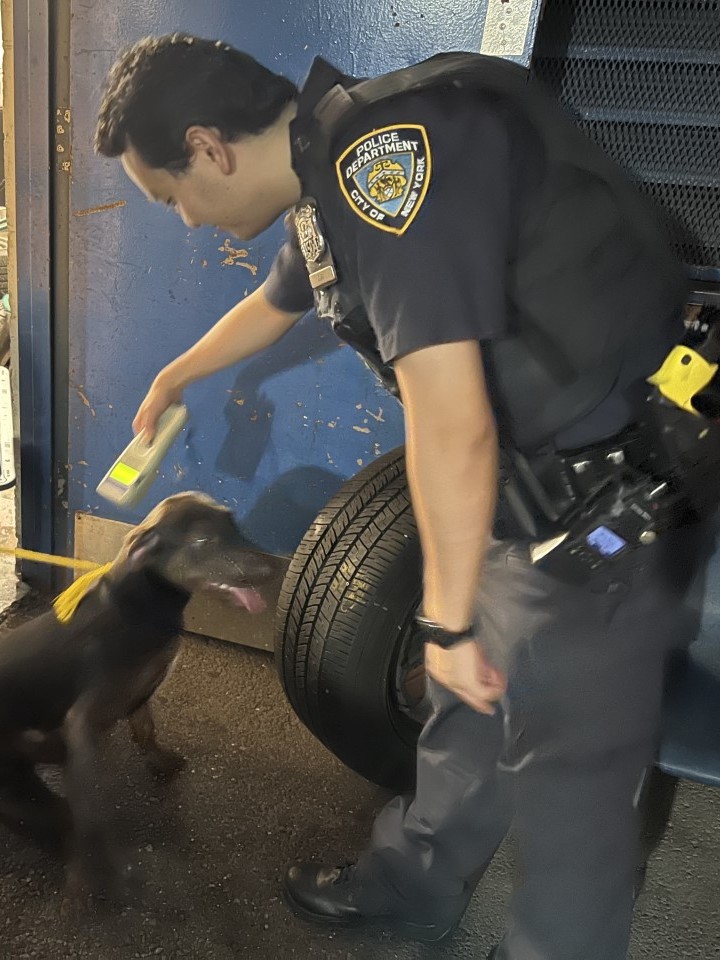 NYPD 77th Precinct on Twitter "Can you assist in reuniting a family