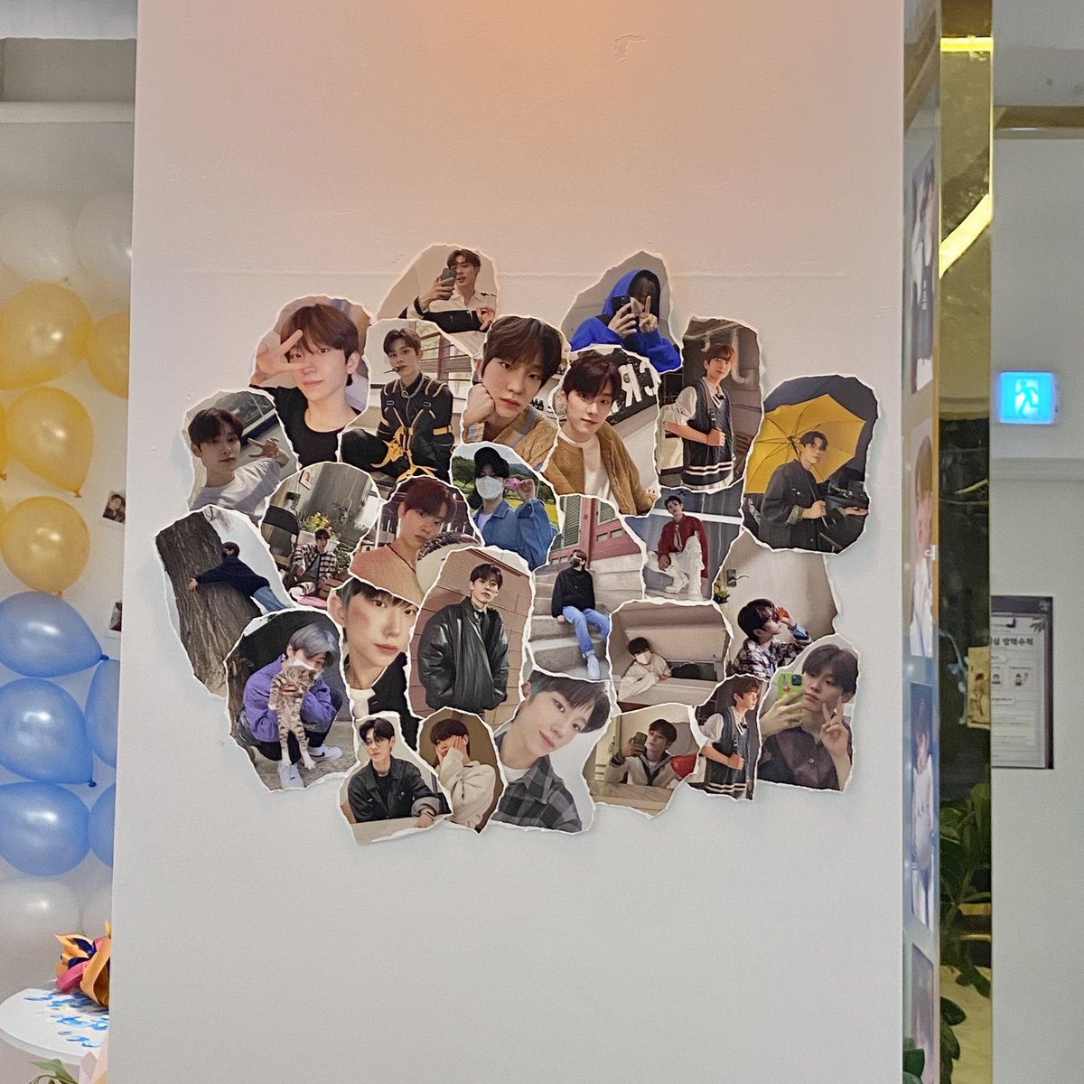 김빵디 tweet media