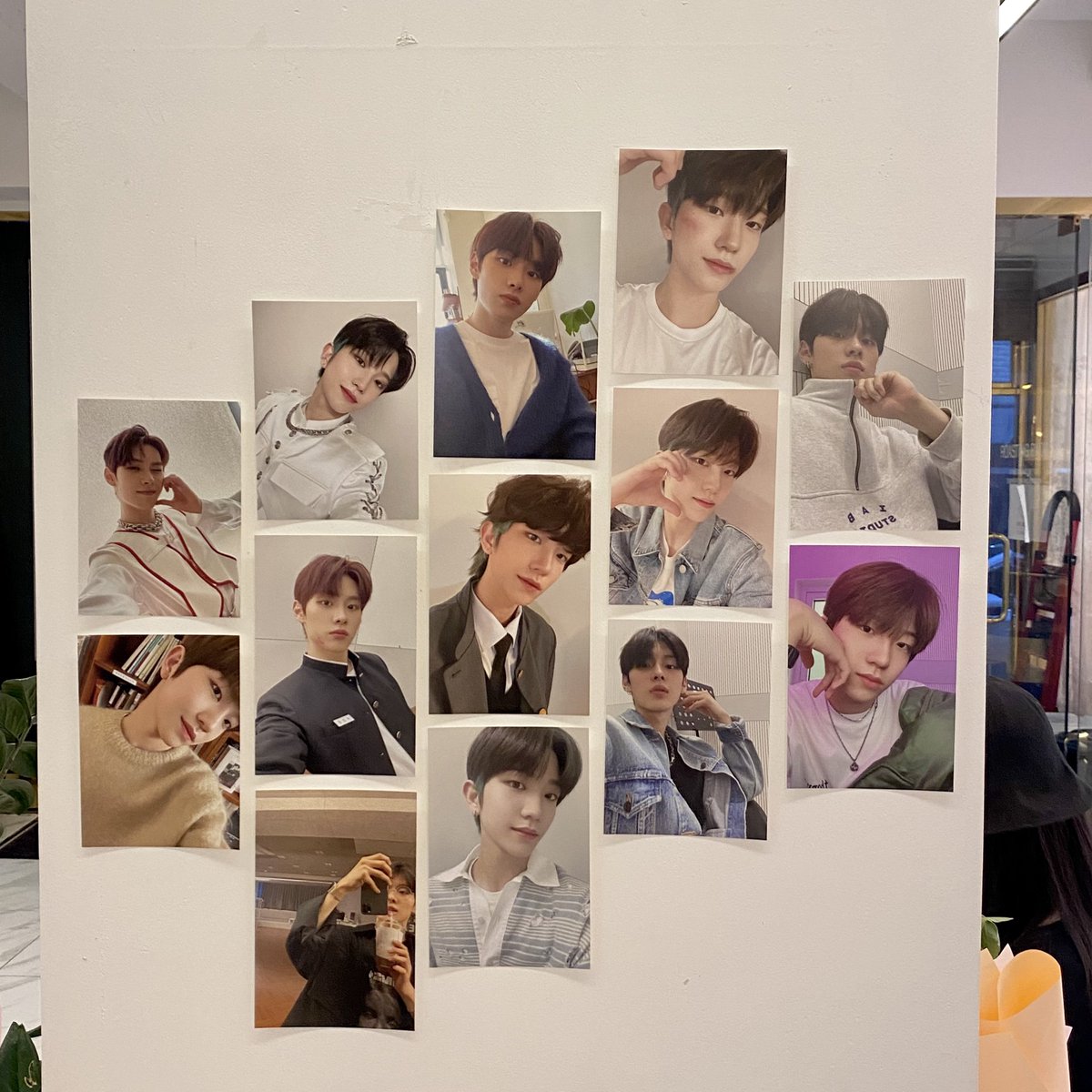 김빵디 tweet media