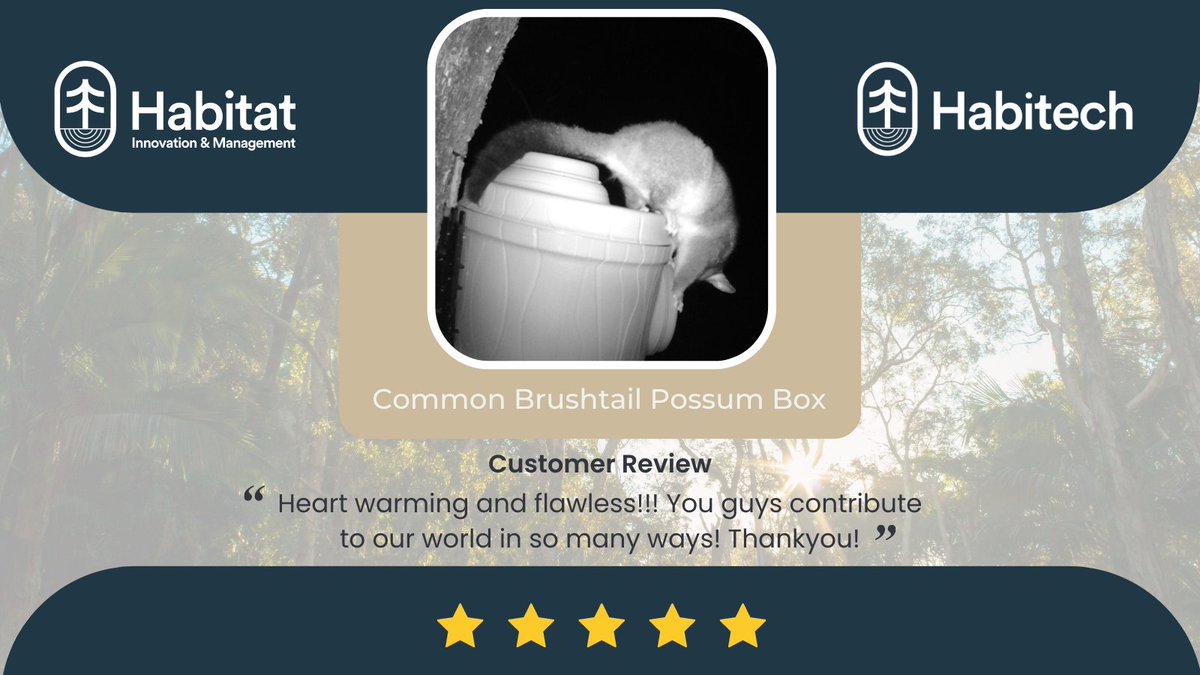 HabitatInnov's tweet photo. We developed the #Habitech modular nest box system to keep our precious wildlife happy, like this common brushtail possum who calls this box home. But we love to hear that the people who buy the nest boxes are so happy that they give us 5 star reviews.

https://t.co/PFliQynZ2N https://t.co/Q01Yh5kbBo