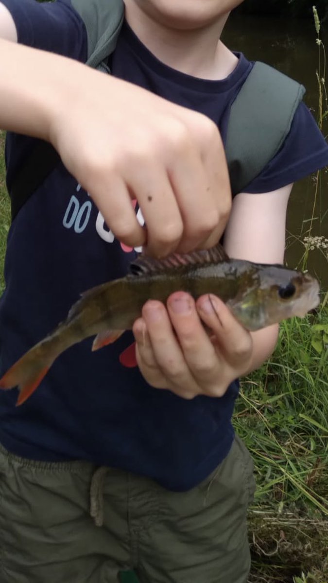 LearningLog1's tweet image. #LGPAScience @laceygreenpa Learning about different fish that live in our canals and rivers and discovering freshwater mussels.