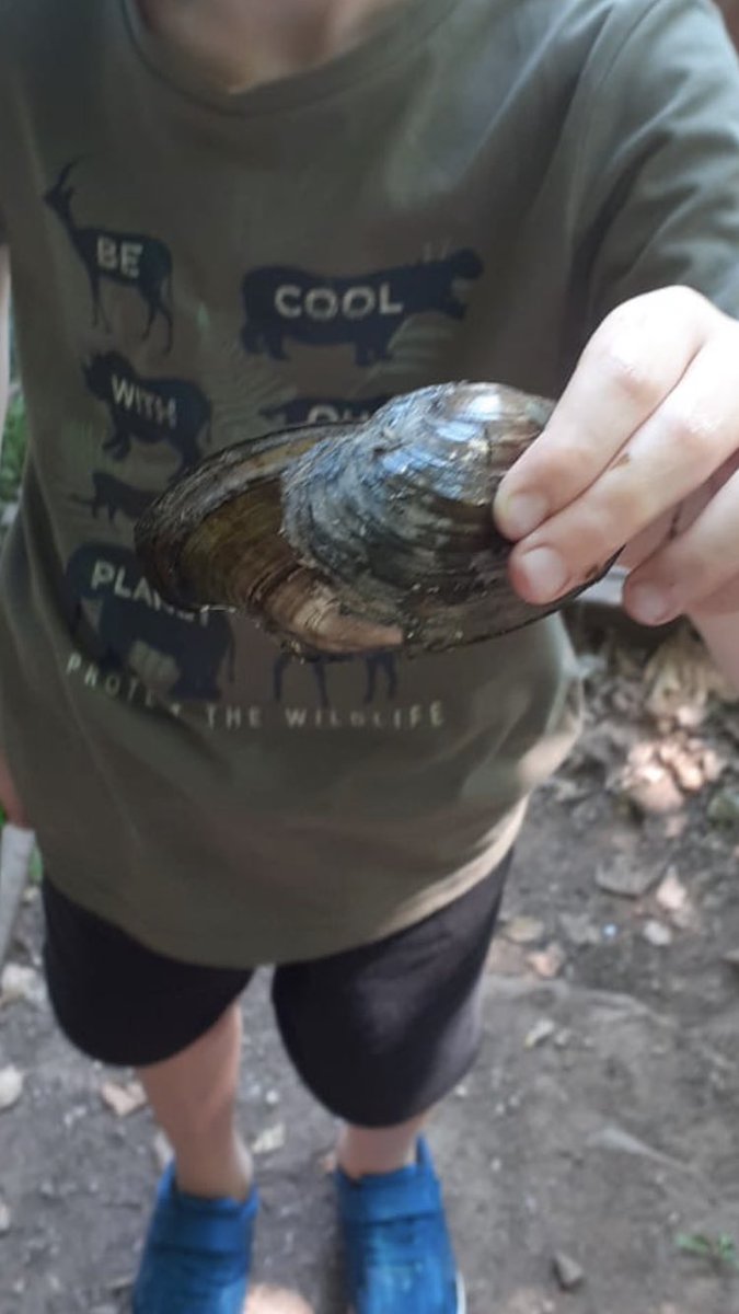 LearningLog1's tweet image. #LGPAScience @laceygreenpa Learning about different fish that live in our canals and rivers and discovering freshwater mussels.