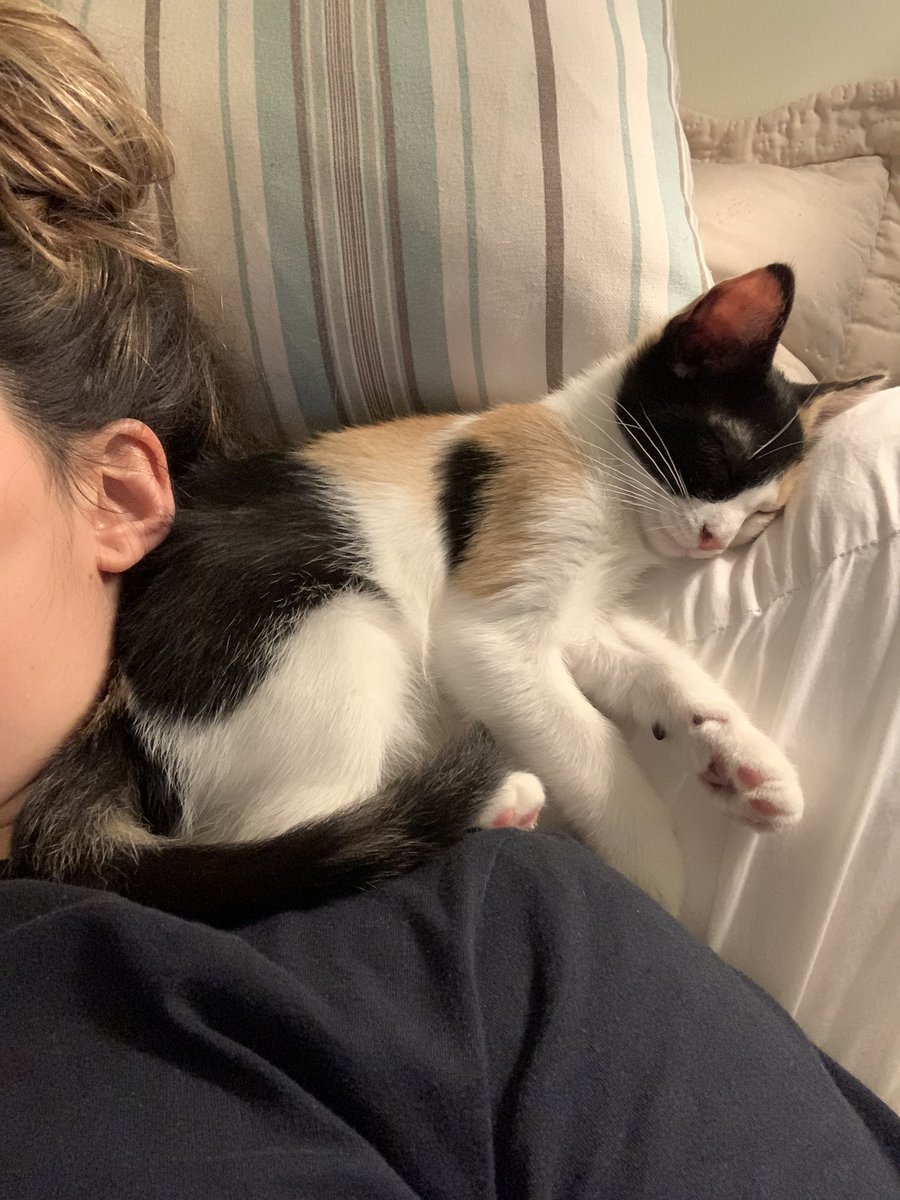 entrei pro time, apresento-vos a minha filha Lua 🖤
<a href="/danielaabcoelho/">dani</a> @acher0ntamoveb0