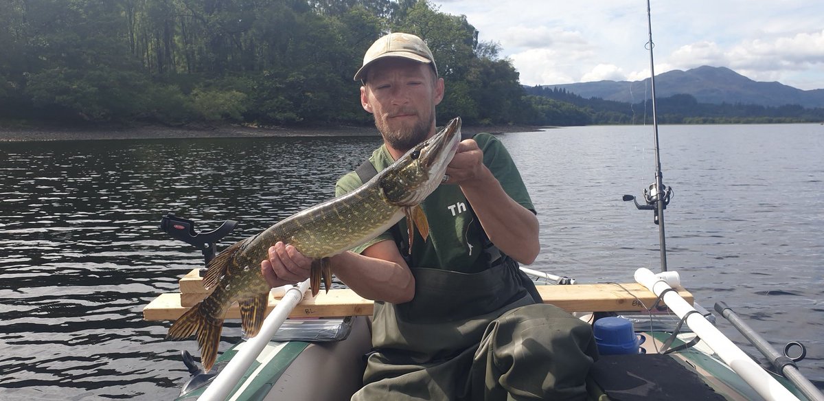 What did everybody do over the weekend anything exciting? Caught a few nice fish myself. Anybody fancy a guess at the weight? In Lb &amp; Oz, Closest after 72hrs will win a free mint. Mon The Fish 🎣💦 

#NFTs #NFTGiveaway #competitiontime #NFTshill #NFTProject #fishingislife #SOL