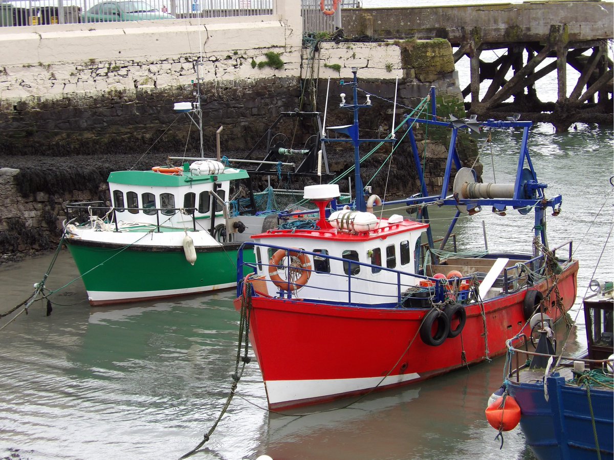 cinea_eu's tweet photo. 🆕report on the interaction between fisheries, ecosystem &amp; environment!

In this study @AFBI_NI @CefasGovUK &amp; @MarineInst attempted to identify mortality sources for cod in Irish Sea &amp; set out the factors that influence marine population dynamics
➡️https://t.co/rS2pBWghwg

#EMFAF https://t.co/PiYR5PtcHO
