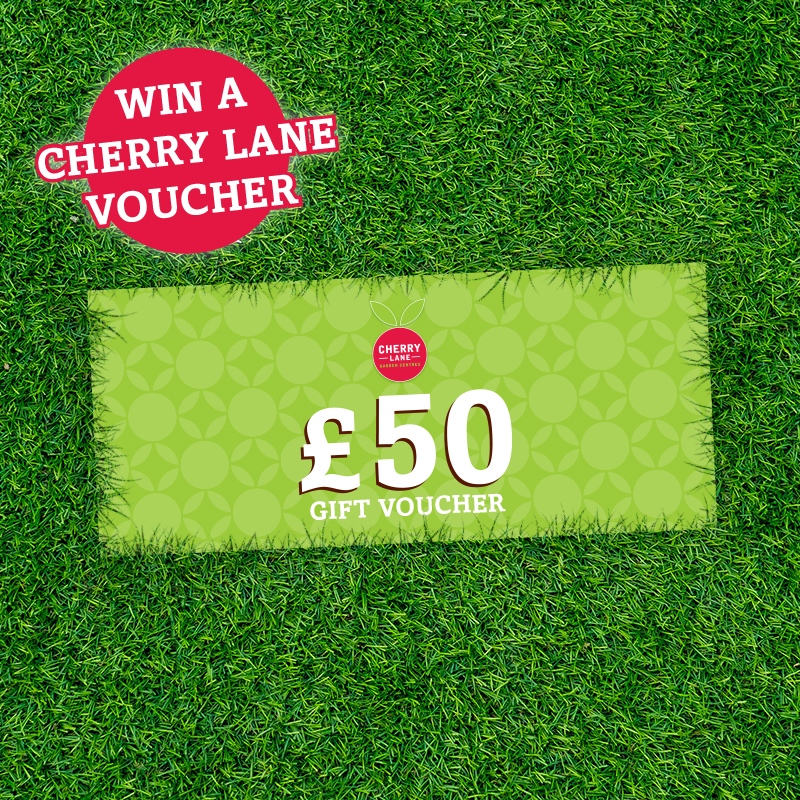 😍 GIVEAWAY! 😍

Win yourself a £50 Cherry Lane gift voucher ideal for grabbing all your favourite plants or Autumn care products!

RT this tweet and follow us on Twitter!

UK and Republic of Ireland only.

The winner will be chosen 312/09/22

#giveaway #competition #contest #win