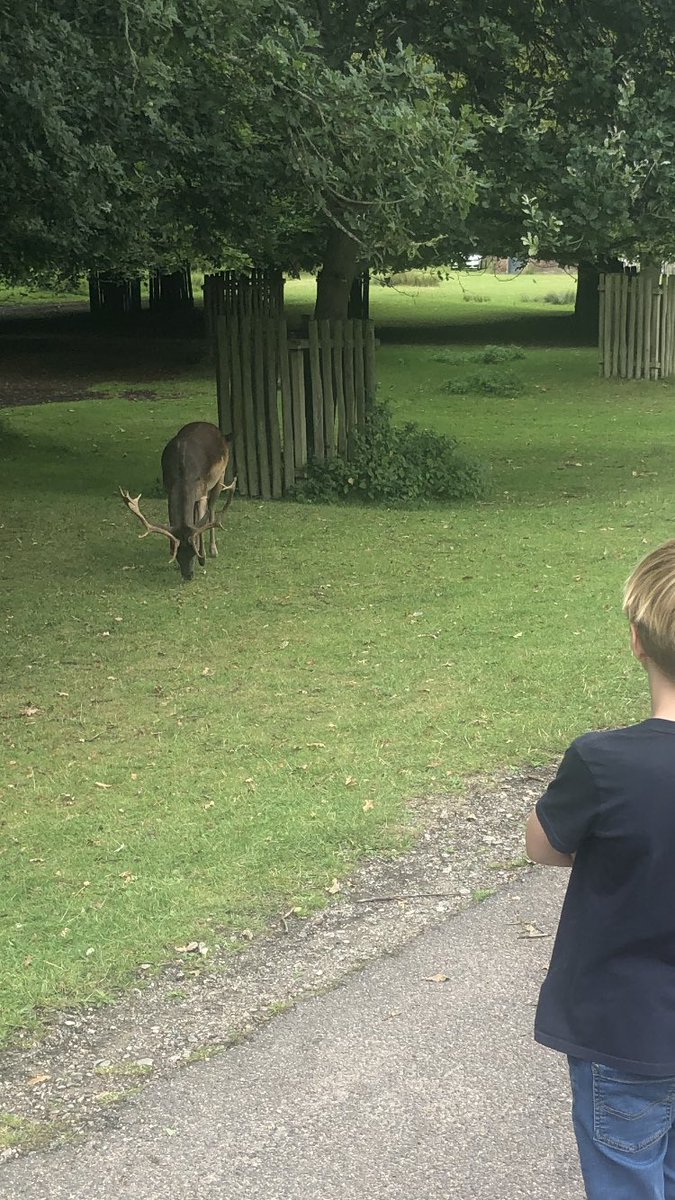 LearningLog1's tweet image. #LGPAScience @laceygreenpa Enjoying nature.