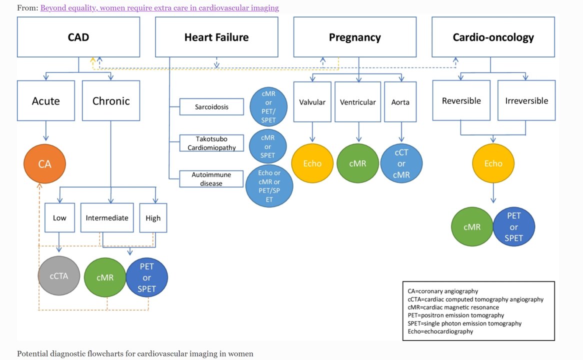 cgebhardMD's tweet photo. @MikailNidaa @AlexiaR59012046 @SBengsPhD @buechelrr @achi_haider @cmc_uzh @Unispital_USZ Thanks to @lauraevangelis9 @SamiaMassalha and @AlbertoCuocolo for this insightful editorial highlighting that updated imaging guidelines are mandatory to address the unique aspects of CV diseases in #women. https://t.co/g6Ii1vJcGH #CardioTwitter @InocaInternati1  @WomenAs1 https://t.co/ZDnCZMmjiq