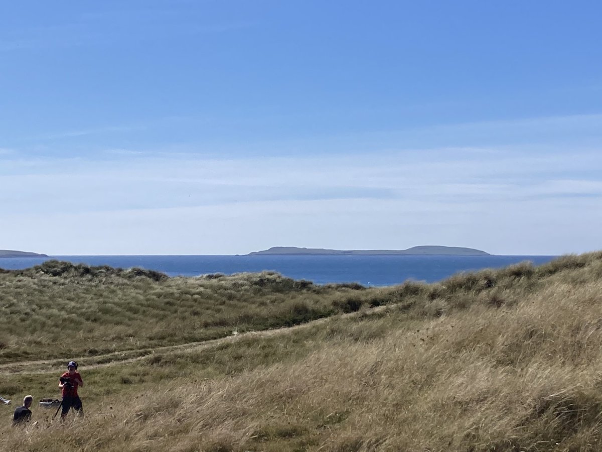JenniferMcElwa3's tweet photo. In the dunes off Kilmore Quay in #Wexford today filming  a #fivein5 on crop wild relatives and threatened native plants with Steve Waldren https://t.co/jOkaFiSBkn
