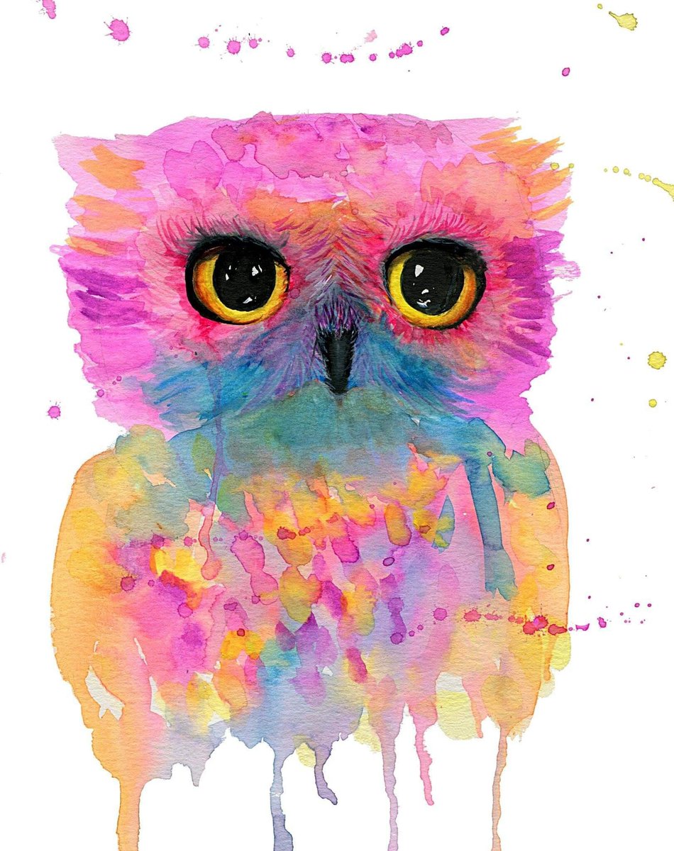 annica37's tweet photo. Cutest pink owl #etsy #Pinkowl #artfornursery, #Owlbabynursery, #Owlwallart, #Owlwatercolor #artprint #owlwalldecor https://t.co/jpmZ8VqPzN https://t.co/mNTG36KGqT
