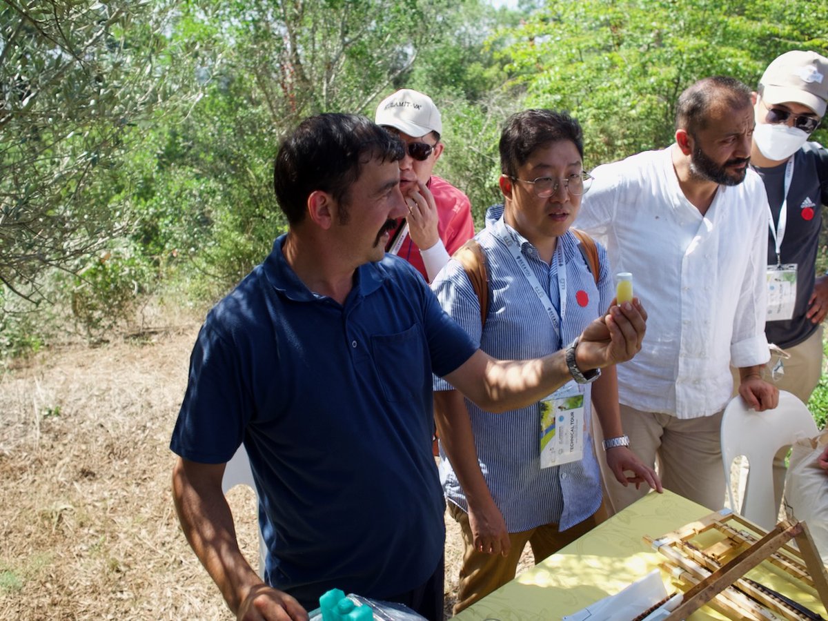 Thank you Adem and other friends of the Istanbul Beekeepers Association for showing us your apiaries in the stunning pine forests north of Istanbul. Turkey is the greatest producer of pine honey worldwide, a very special and delicious variety. <a href="/apimondia/">Apimondia</a>