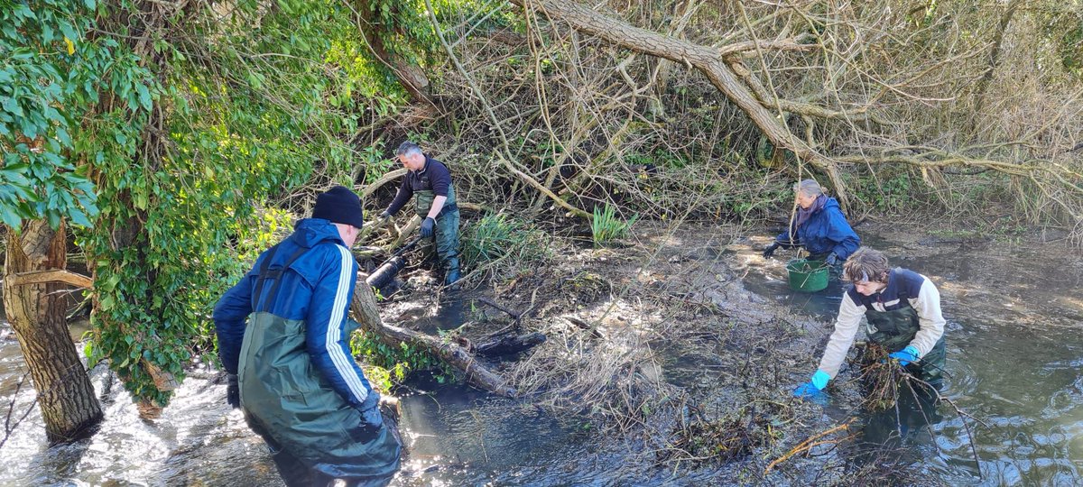 RiverHiz's tweet photo. Hello everyone, we are a small but growing group of volunteers who are dedicated to improving and maintaining the #riverhiz #chalkstream. https://t.co/eWltIeoUxX