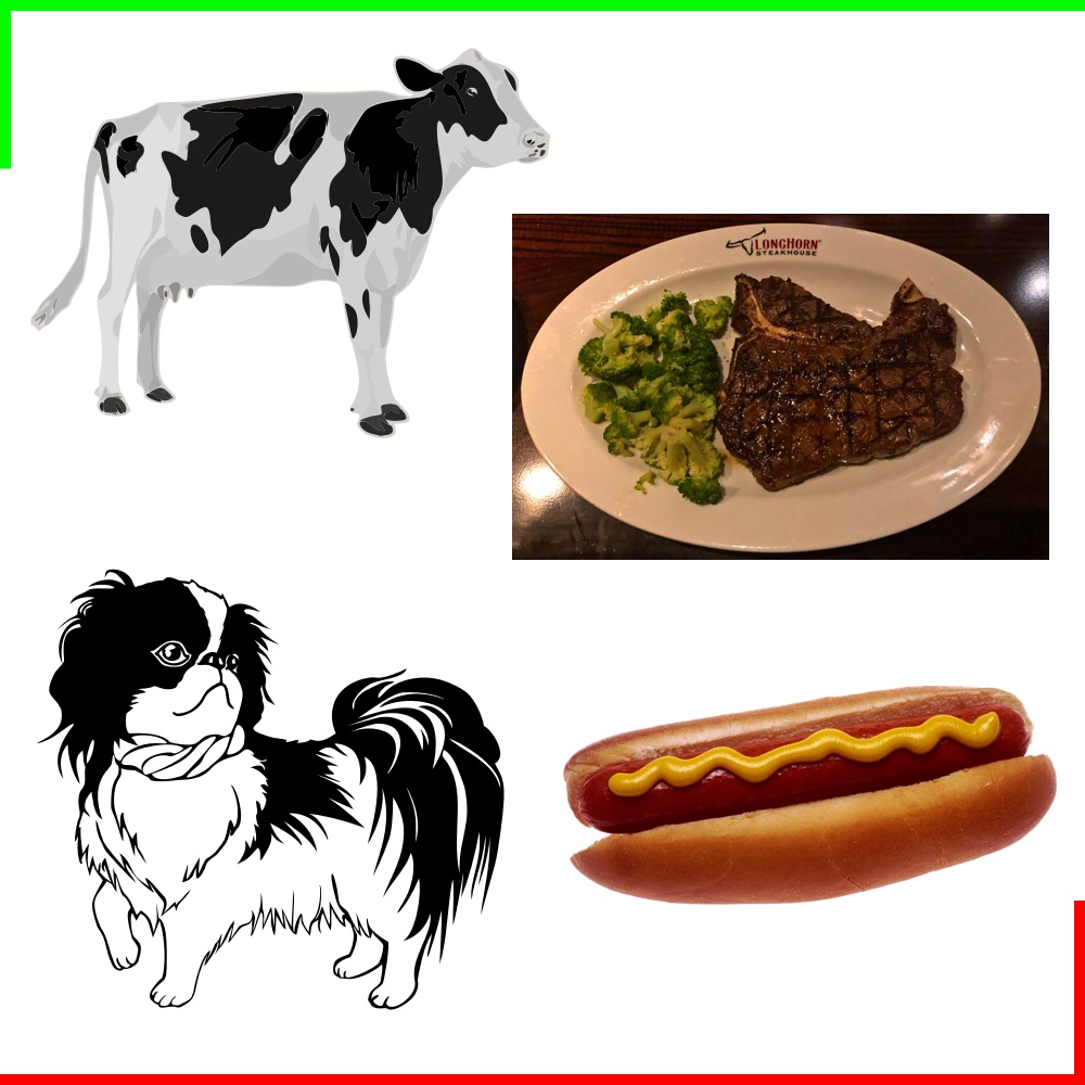 Hot Dog! #nft #nftart #hotdogs 
OpenSea: opensea.io/assets/matic/0…