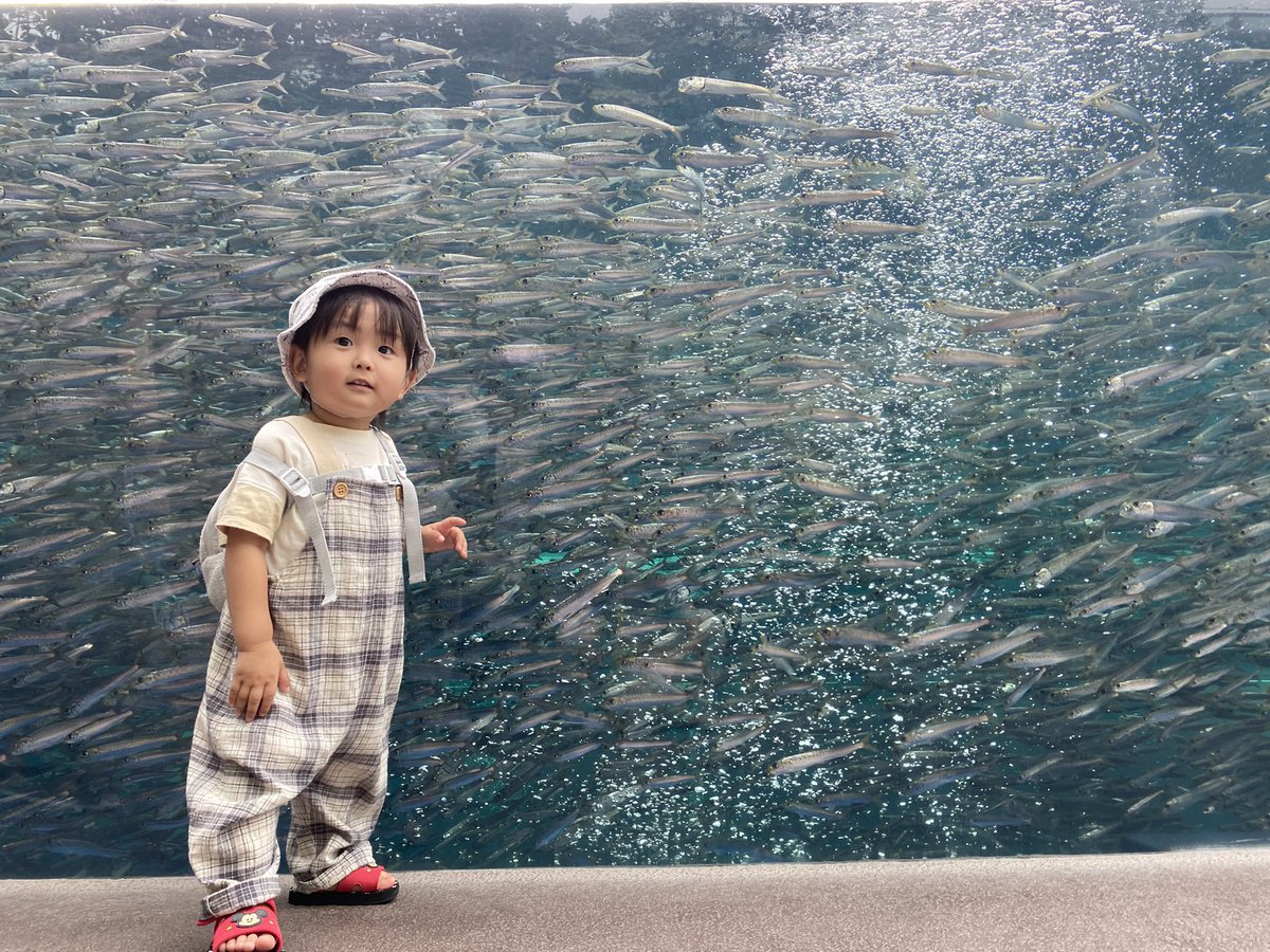coco18128691's tweet photo. 久しぶりの投稿。
土曜日に🐟
可愛いおぼっちゃま😍 https://t.co/3ODJ2DjnMV
