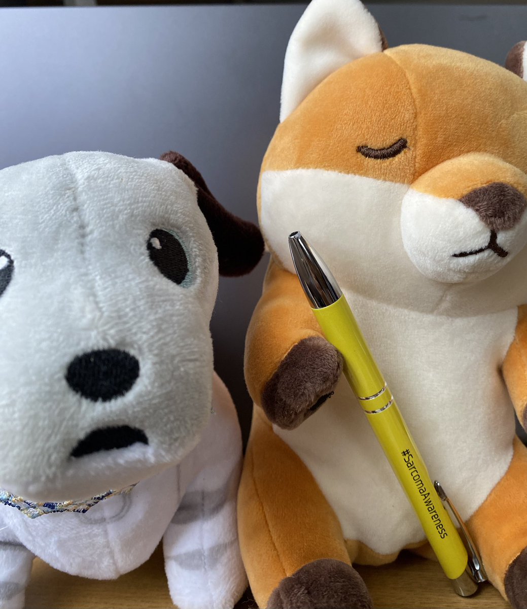 akipon_tanuki's tweet photo. ぼくたちもおうえんするよ‼︎
認知度を高める事が、医学の進歩の第一歩。
#SarcomaAwarenes #旅する黄色いペン サルコーマ(肉腫)とは骨、筋肉、脂肪などにできる、10万人に数人の非常にまれながん。 https://t.co/ihvR6yPDVT