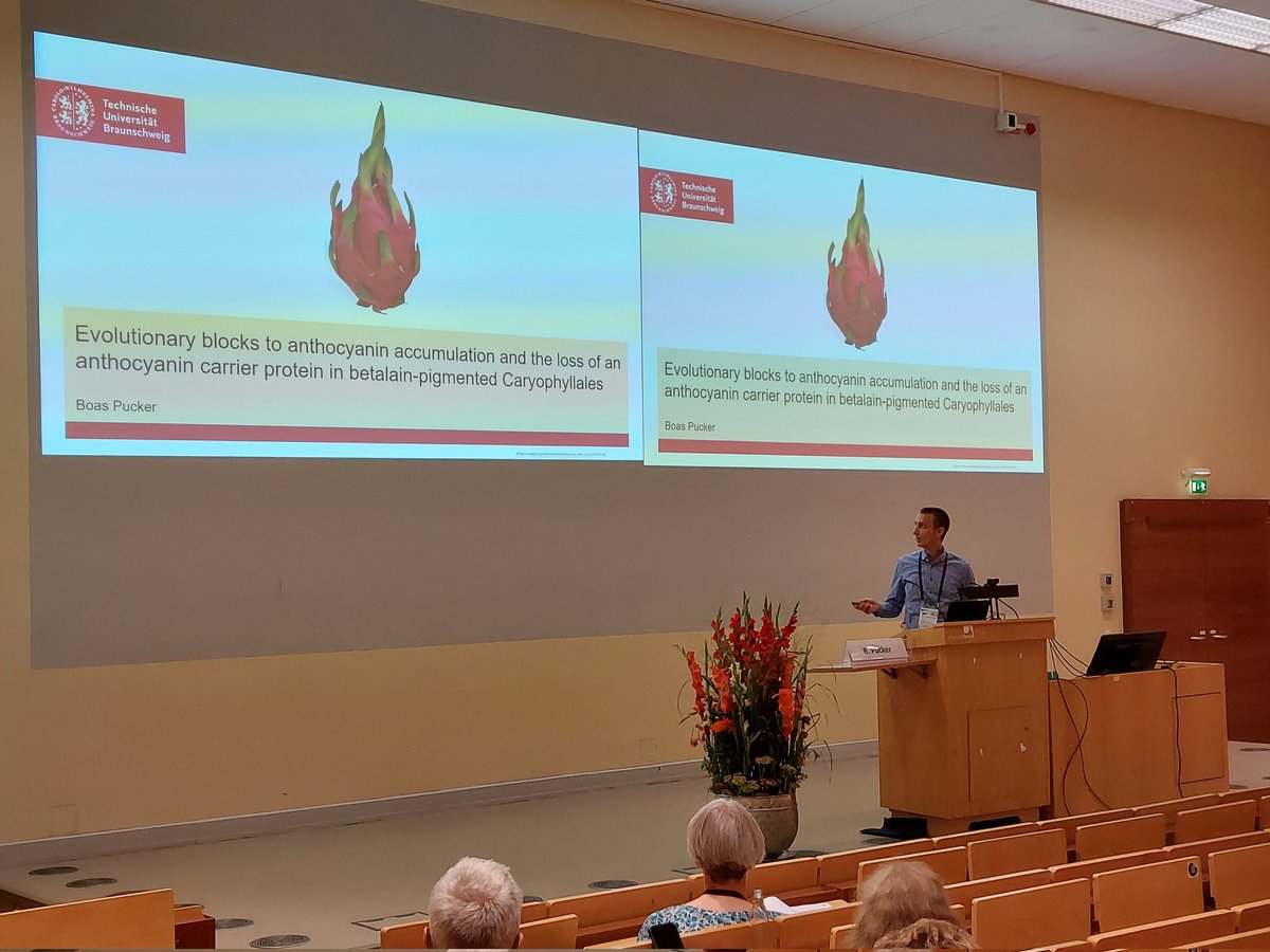 Lennart Sielmann tweet media
