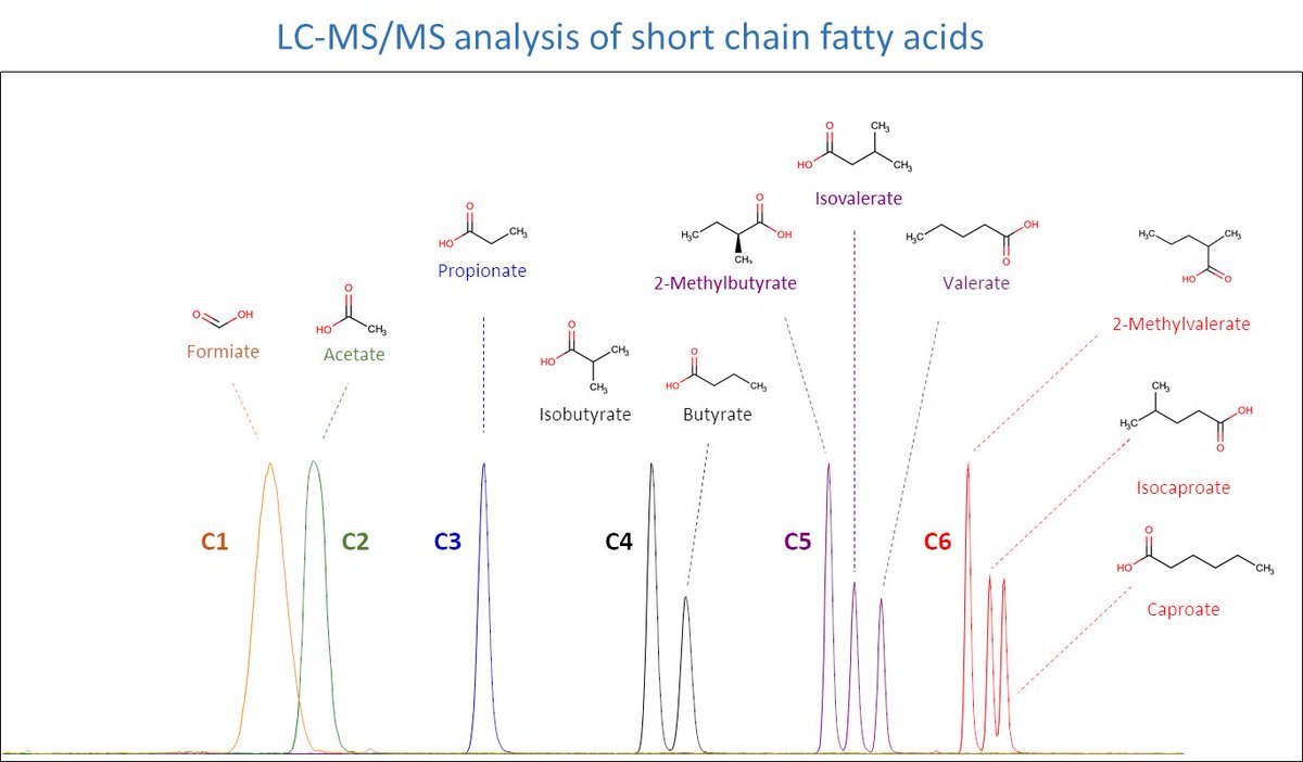 nutrimol's tweet photo. Short-chain fatty acid anaysis by LC-MS/MS
@CIAL_CSIC_UAM 
https://t.co/qG2O43YV3C https://t.co/LK87qoklMD