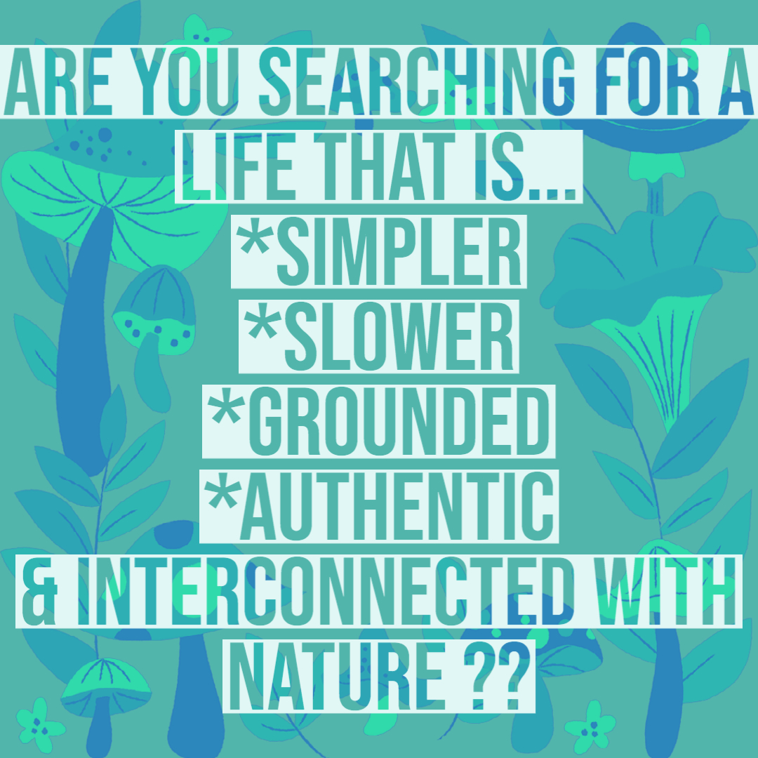 outdoorlearnin's tweet photo. Join our tribe https://t.co/0rue7ORS73
#inspiration #lifestyle #explore #nature #motivation #suppo #smallbusiness #life #yoga #lifestyle #positivevibes #success #selfcare #selfhealing #mindset #positivity #learning  #healthylife #goals #intention #lawofattraction #menopause https://t.co/XGgw744RoB