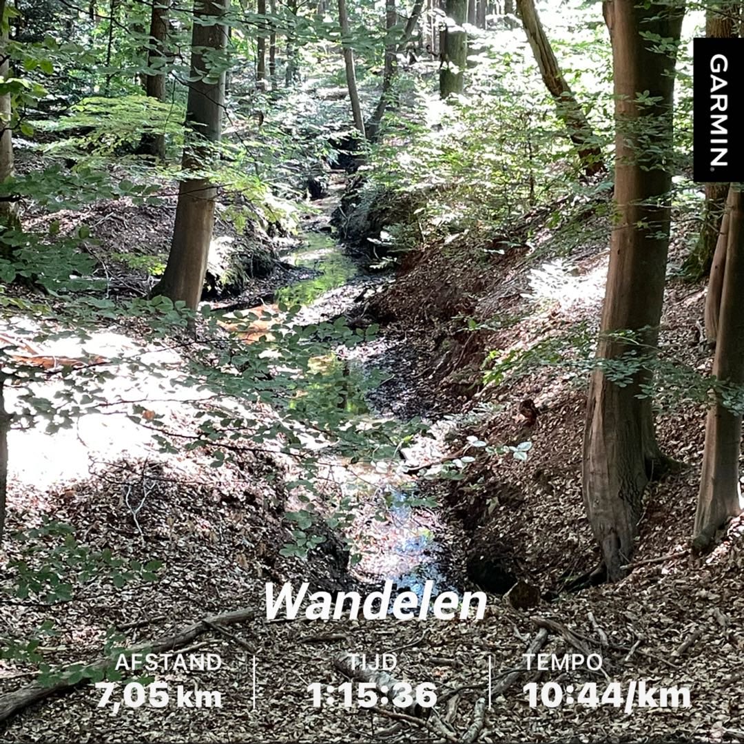 Runningsjaak's tweet photo. #beatyesterday #garmin Heerlijke wandeling gemaakt. Genoten van het zalige weer! Langzaam maar zeker krabbel ik weer op! #duizelig #BPPD #staystrong #believe https://t.co/1NifGgNxqL