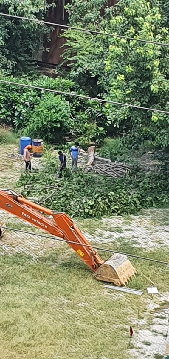RanmikChahal's tweet photo. @NGTribunal @FaridabadRegion @DC_Faridabad @smartcityfbd @PPRWA_61 @dtcphry प्रिंसेस पार्क सोसायटी sec 86 fbd में bptp school का निर्माण कर रही धूल मिट्टी पोलूशन से लोग हुए परेशान सारे नियमों को ताक पर रखकर किया जा रहा काम बिना अनुमति के कांटे जारी पेड़ https://t.co/mwzl1bgiCg
