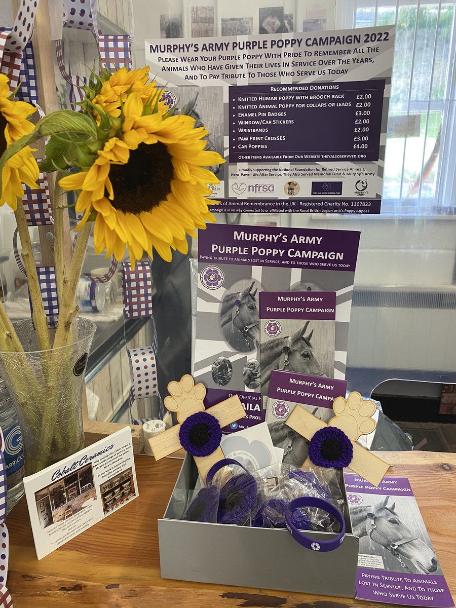 LisaLisaw1's tweet image. #murphysarmy #purplepoppycampaign #cobaltceramics #stanhope #weardale 💜💜💜