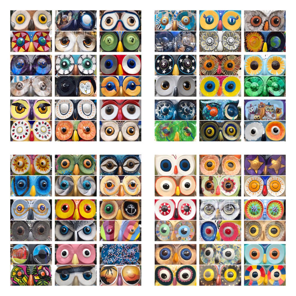 Alex 📷 tweet media