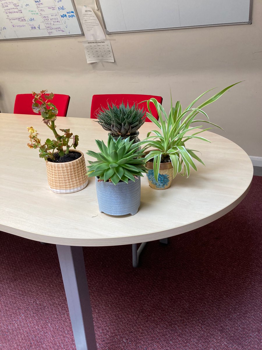 Vicky harfield tweet media