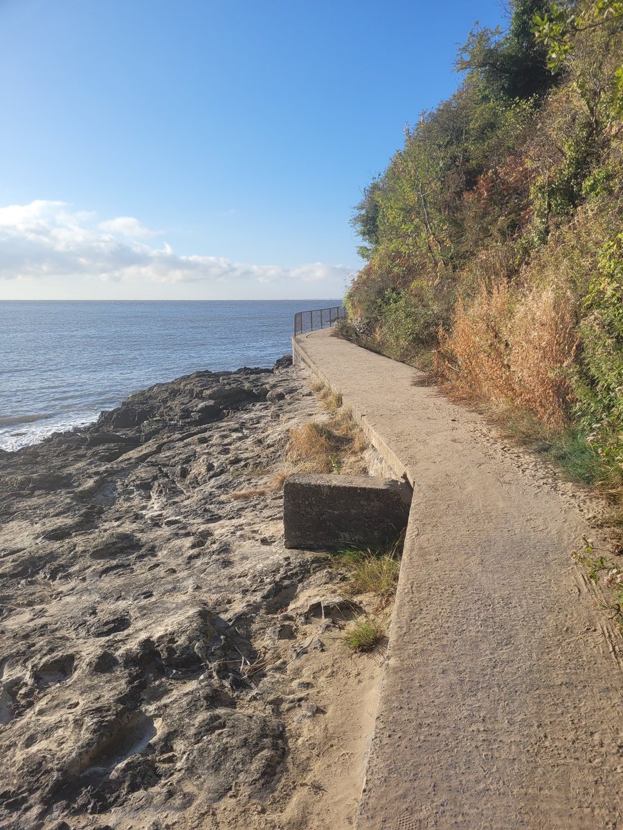 andygreencre8iv's tweet photo. I used this concrete block - which I had never noticed before on my early morning walks around Barry Island - to stand on to let a couple with a dog pass as the pathway  narrowed.
Is there anything inconspicuous you could use to help you today?
#Barryspiration #Walkspiration https://t.co/S9kV0y0uEq