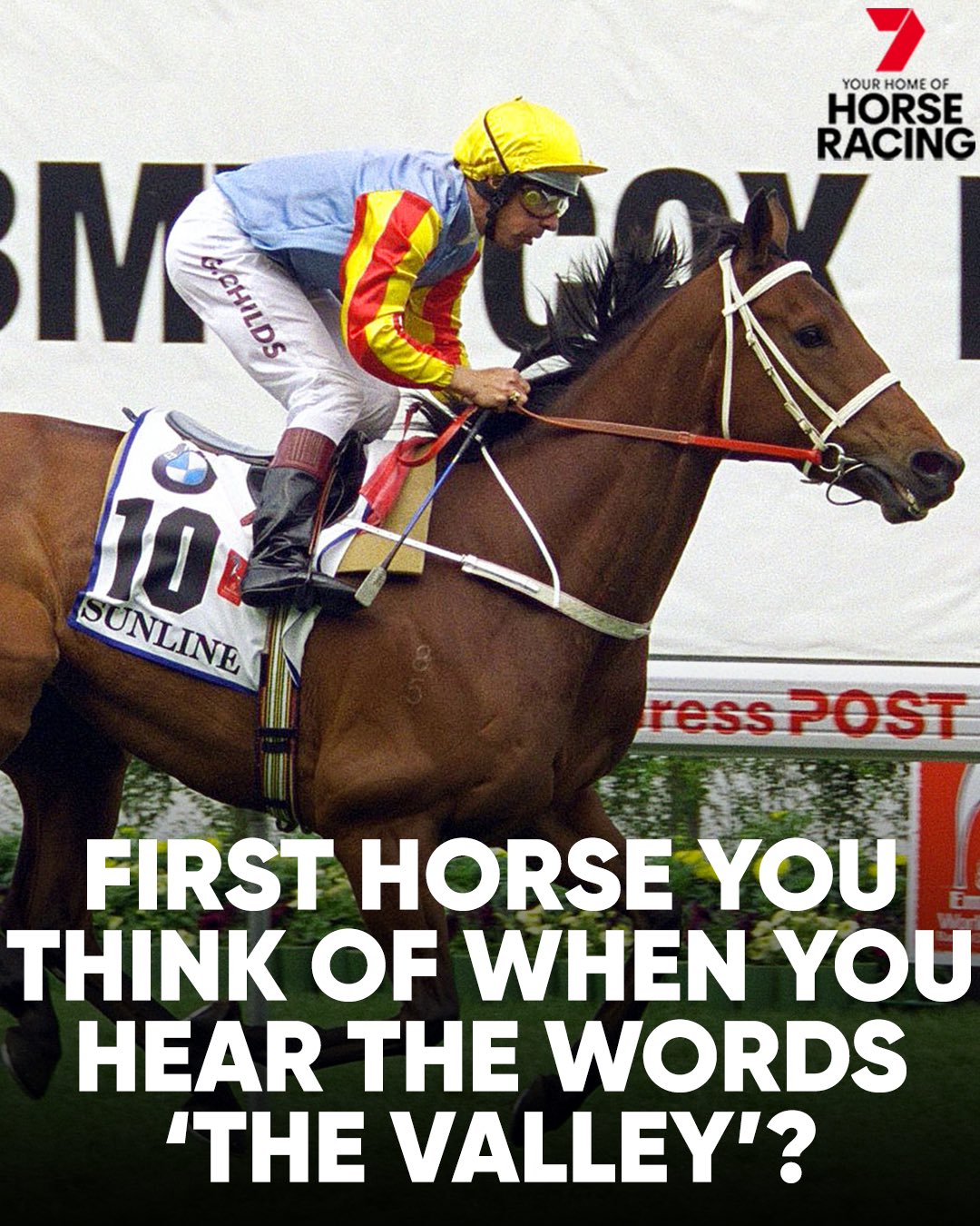 wildhorse7