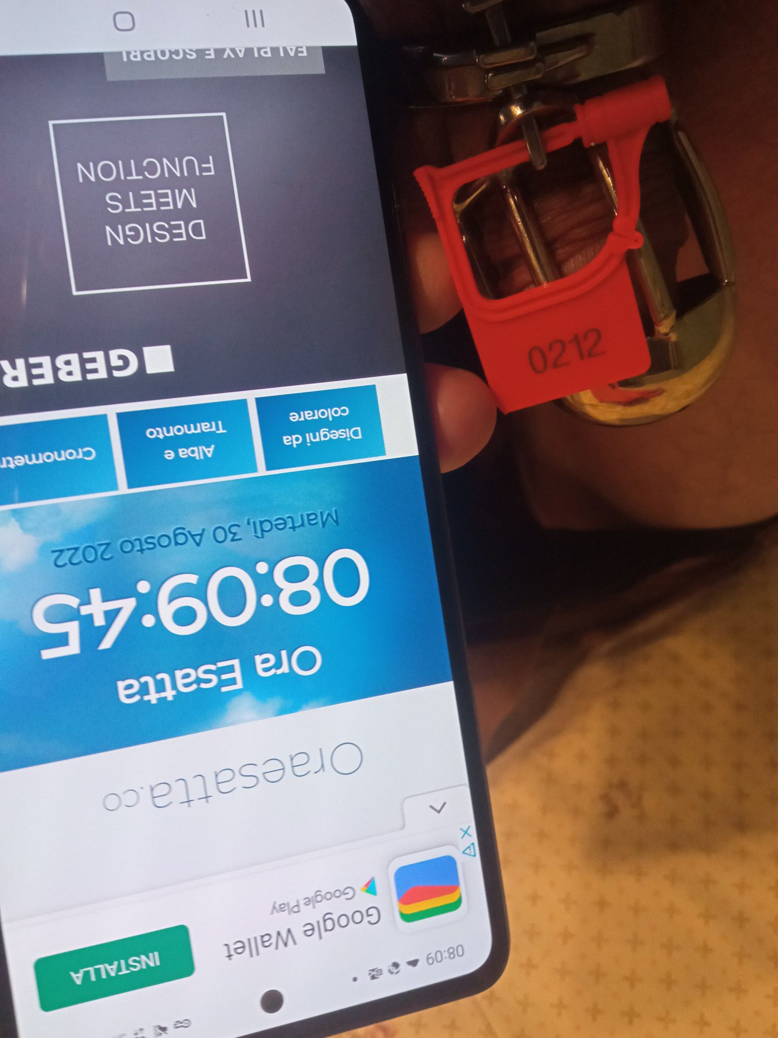 Slave Peter on Twitter "First day, we start MadameCatarina https//t