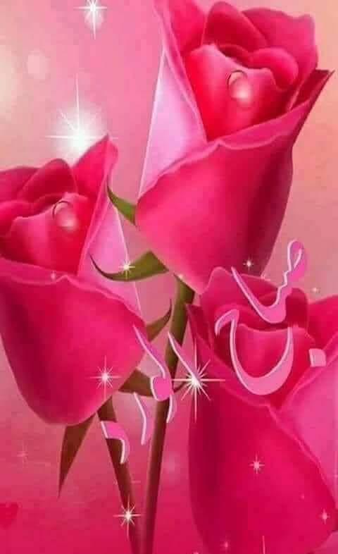 صباح الورد