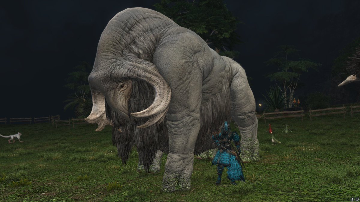 Drak (is authorized to hunt) tweet media