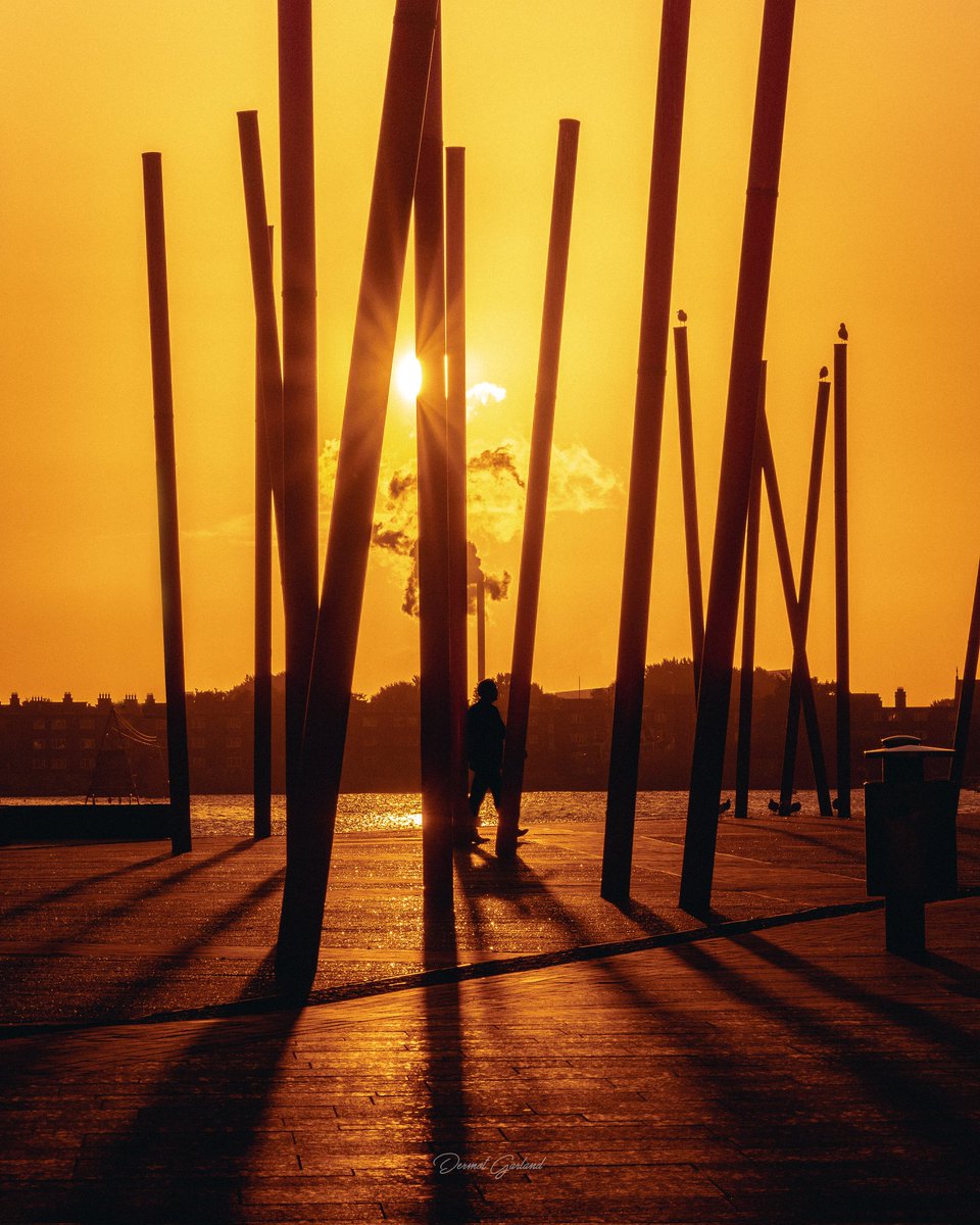 Scenes at Grand Canal Dock 😍
.
.
.
#lovindublin #igersdublin #visitdublin #discoverdublin #dublinexplore #irelanddaily #irishdaily #theirishphotographypodcast #dublin #grandcanaldock #sunrise #sonyalpha #instaireland #ireland #discoverireland #dublincity #bestofireland