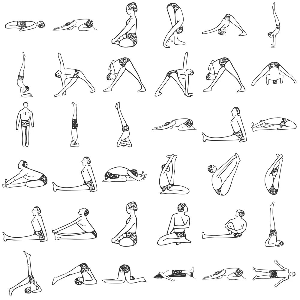 iyogavastu's tweet photo. 🌱Sequence: Forward Bends for Intermediate Students
⏱️Time: 80 mins
🌸Level: Intermediate to Advanced
Print it here: https://t.co/e4Bag6PWbe
#iyengaryoga #yogavideos #yogastreaming #bksiyengar #pixielillas #yogahomepractice #forwardbends #yogasequence #advancedyoga https://t.co/TD3Mbf9jtt