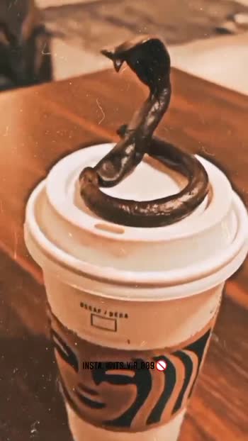Chaaaii latteee naaal shkda eh dose billo🐍🖤
