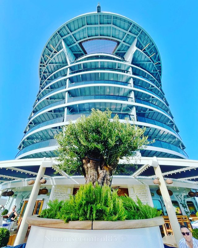 n0cruisecontrol's tweet photo. A few afternoon nibbles from the Meze cart at the Dock House in the beautiful Spanish sunshine π βοΈ #thedockhouse #wakeviews #valiantlady #virginvoyages https://t.co/fW8UaidPLK