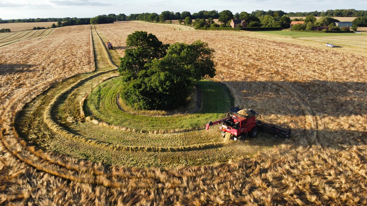 BarenbrugUK's tweet photo. Growing grass for seed can be a high-reward crop. Most grass seed crops are taken for two harvest years so, as well as reducing inputs, they are a valuable break crop
https://t.co/jbhTepnt5B
#RootedintheUK #UKGrassExperts #breakcrop https://t.co/0vQapFHQ5D