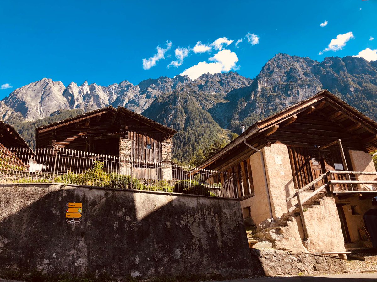 DNAsaur_'s tweet photo. Converting our Airbnb mountain cabin into a lab to separate the states of eDNA. Where there is a will, there is a way. @alpineedna #eDNA #fieldwork #nocontamination https://t.co/voHkvxifNs