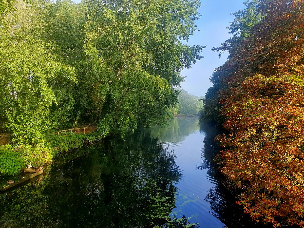 Anyone else getting strong Autumnal vibes on campus recently? 🍁🍂
<a href="/UniofReading/">Uni of Reading</a>