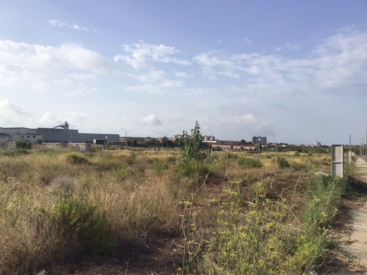 Poligonsbcn's tweet photo. En #Valls tenemos 40.000 m2 de suelo, para contrucción de nave industrial o logística. En polígono consolidado,urbanizado y con servicios. Nos puedes pedir información en albertpaluzie@poligons.com https://t.co/VYIWwpupYi #Tarragona #Suelo #Naves #Logística https://t.co/u42Yz8Zy9t