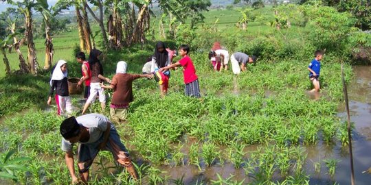 mes_indonesia's tweet photo. #ShariaEconomyThread: Pentingnya Kemandirian Pesantren
Hallo Sobat MES, sudah tahu kan kalau saat ini pondok pesantren telah bertransformasi sebagai entitas ekonomi yang potensial sehingga dapat menggerakan perekonomian masyarakat secara signifikan? https://t.co/oqtvEJA6hY