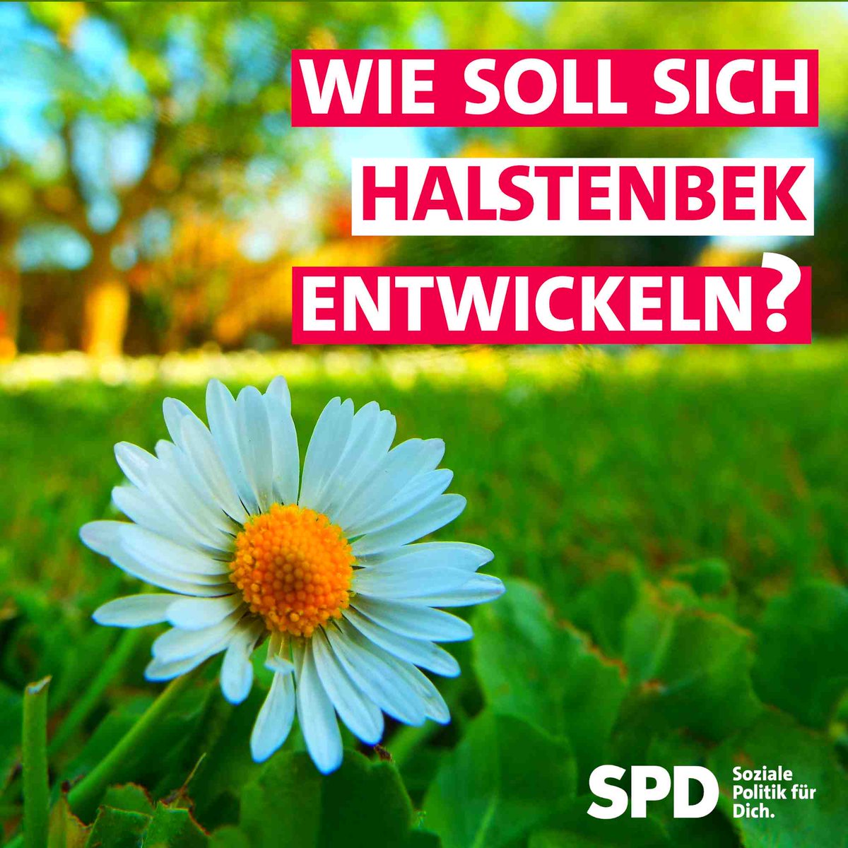 Die #Bürger sind gefragt: Wie soll sich #Halstenbek weiterentwickeln? Los geht's. spd-halstenbek.de