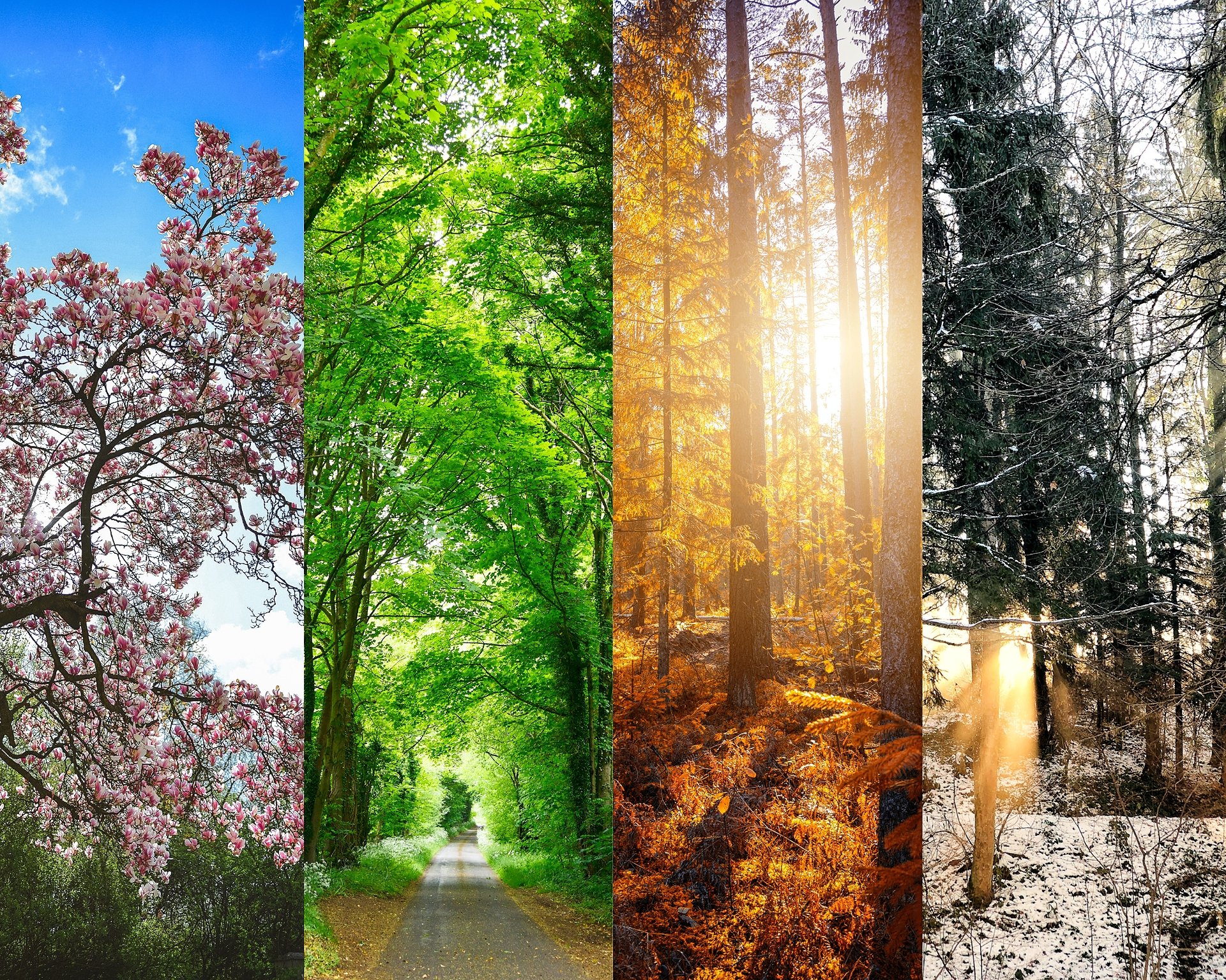 Willerby on Twitter "What is BS3632 specification? Homes made to this