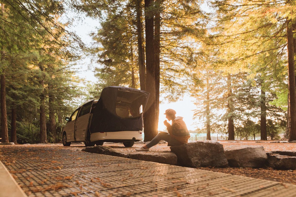 Spaceships Rentals AU & NZ tweet media