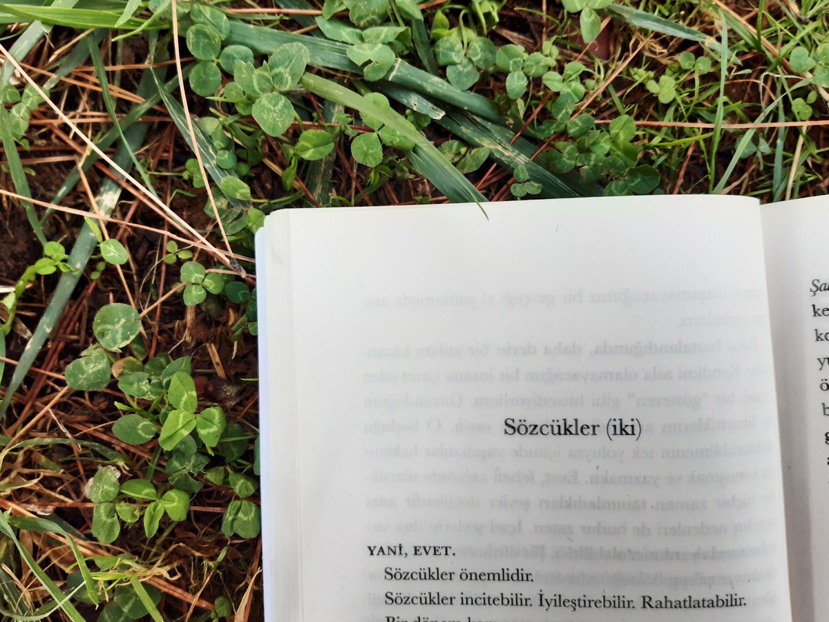 mugmugs_'s tweet photo. #MattHaig https://t.co/I16IkecLHK
