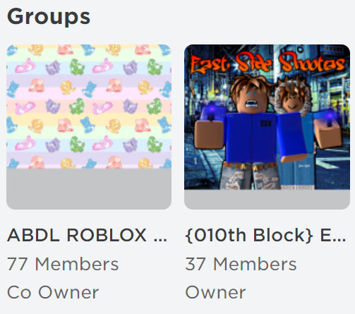 CO-OWNER - Roblox