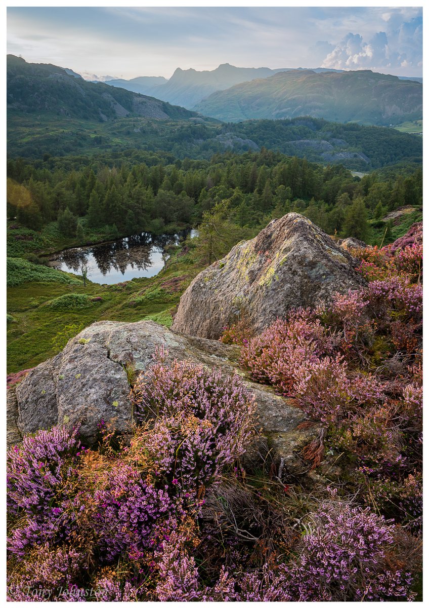 A little bit more of Holme Fell from a couple of weeks ago @NTsouthlakes #Cumbria #notjustthelakes #BestofCumbria @wildlakeland #LakeDistrict #holmefell #ThePhotoHour @VistCumbria 
@CumbriaWeather