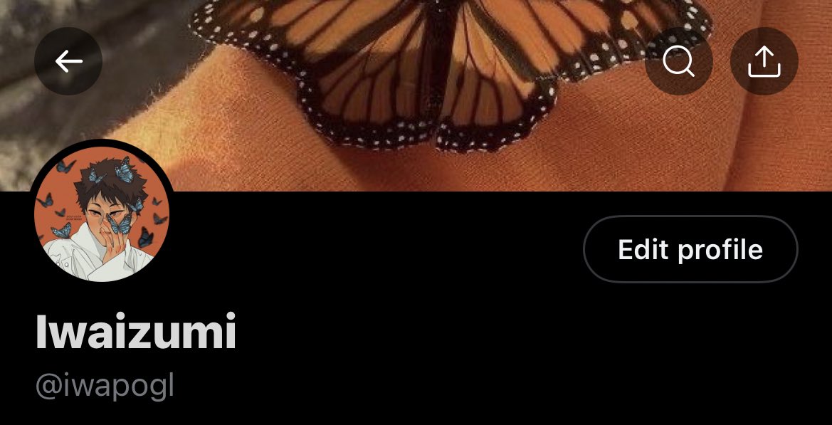 New layout @0ikinawa